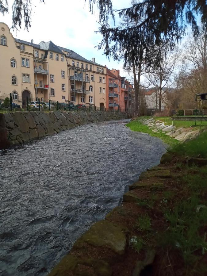 Ferienwohnung Zum Sebnitzer Hirsch Экстерьер фото