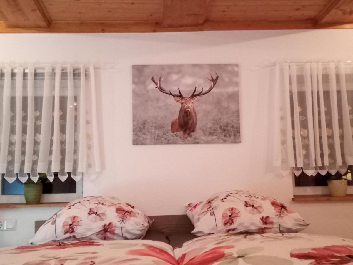 Ferienwohnung Zum Sebnitzer Hirsch Экстерьер фото