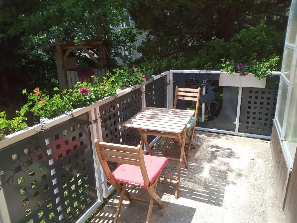Ferienwohnung Zum Sebnitzer Hirsch Экстерьер фото